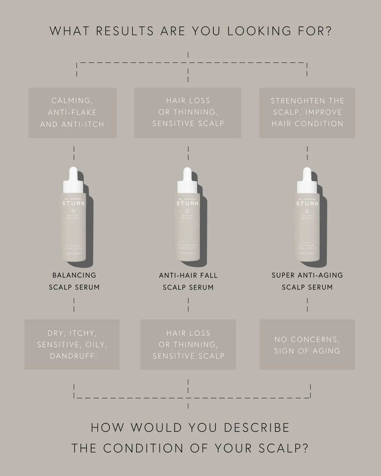 DR. BARBARA STURM ANTI - HAIR FALL SCALP SERUM Serum - BRUSH