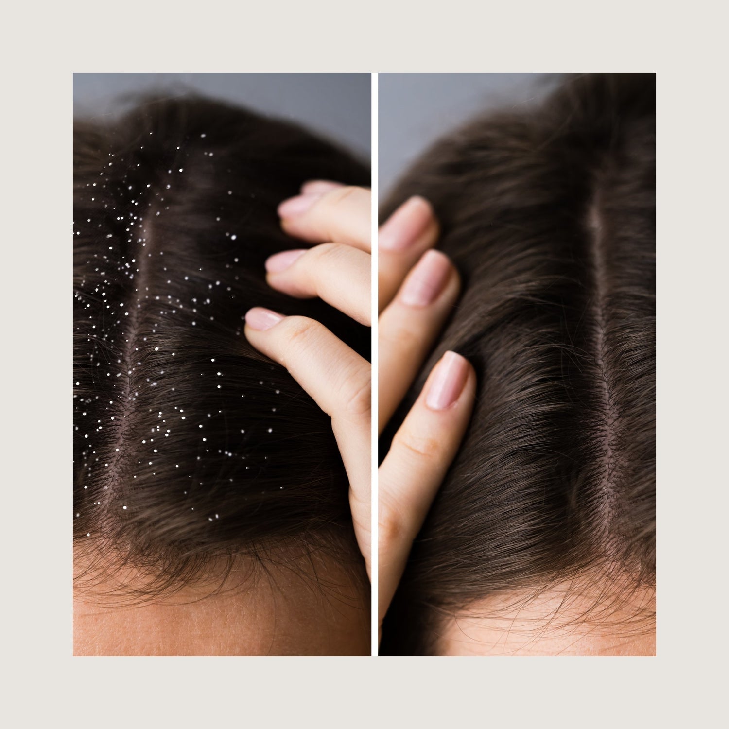 8 Tips for Oily Hair - BRUSH