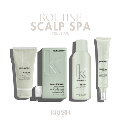 BRUSH BRUSH BEAUTY BOX - SCALP SPA - COMPLETE BRUSH BEAUTY BOX - PRESTIGE - BRUSH