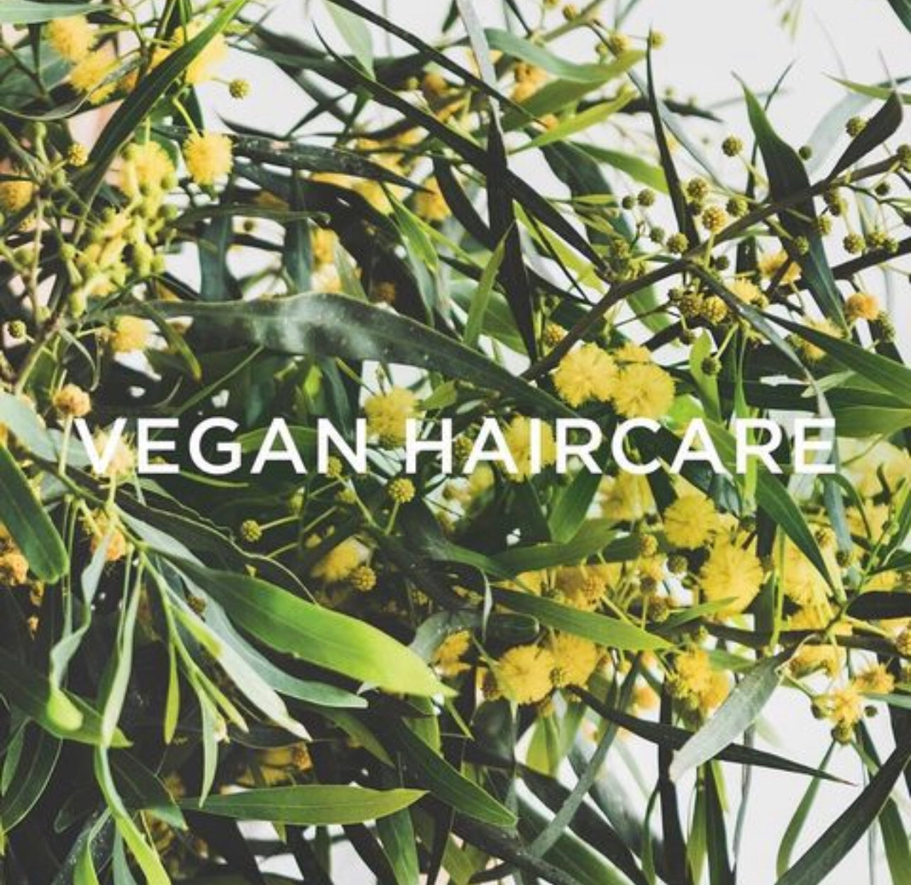 Pure Miracle Renew Shampoo is a vegan haircare product, free from animal-derived ingredients and cruelty-free.